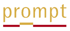 Prompt Research